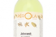 Shampoo - 1 litro - Jaborandi - Borrifador